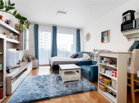 Prodej bytu, 1+kk, 31 m²