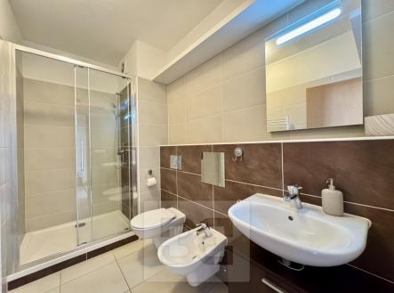 Pronájem bytu, 4+kk, 125 m²