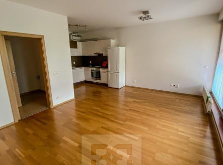 Pronájem bytu, 1+kk, 49 m²