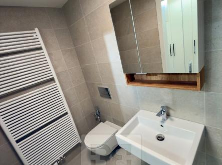 Pronájem bytu, 2+kk, 59 m²