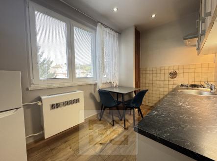 Pronájem bytu, 1+1, 43 m²