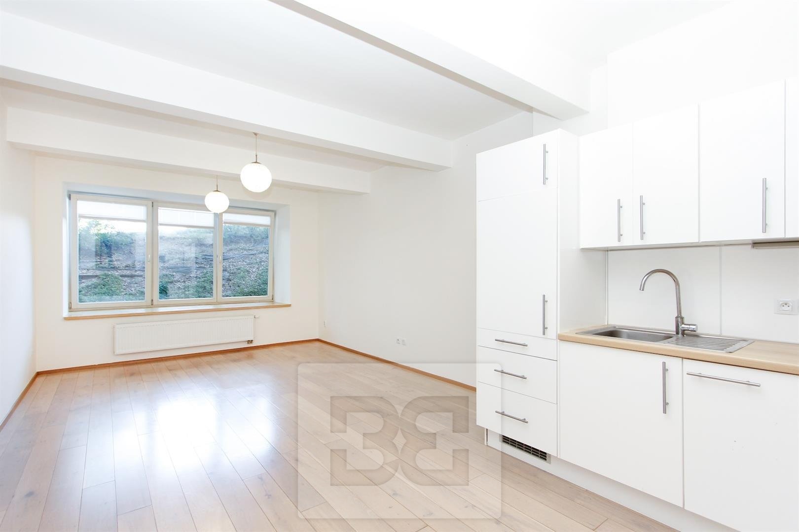 Pronájem bytu 1+kk, U Sladovny