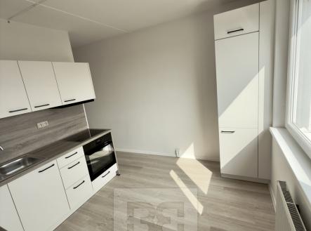 Pronájem bytu, 2+1, 59 m²