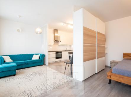 Pronájem bytu, 1+kk, 44 m²
