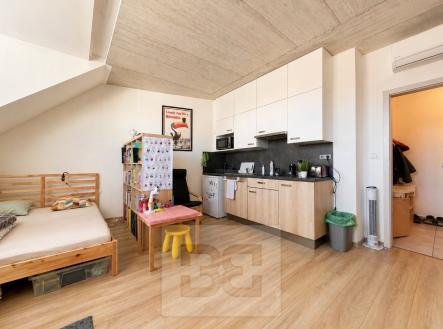 Pronájem bytu, 1+kk, 38 m²