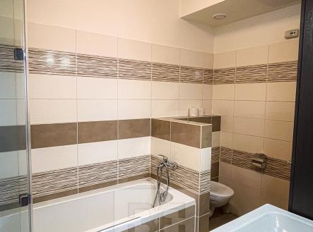 Pronájem bytu, 2+kk, 53 m²