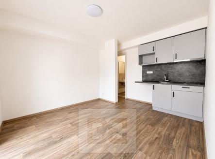 Pronájem bytu, 1+kk, 23 m²