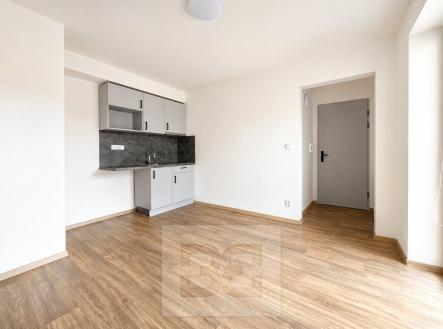 Pronájem bytu, 1+kk, 23 m²