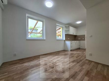 Pronájem bytu, 1+kk, 70 m²