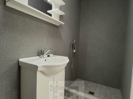 Pronájem bytu, 1+kk, 70 m²