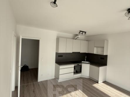 Pronájem bytu, 2+kk, 59 m²