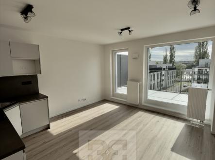 Pronájem bytu, 2+kk, 59 m²