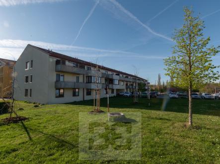 Pronájem bytu, 2+kk, 51 m²