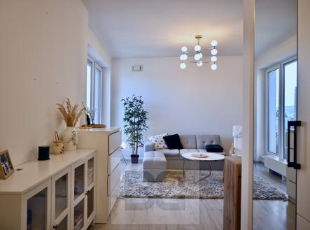 Pronájem bytu, 1+kk, 40 m²