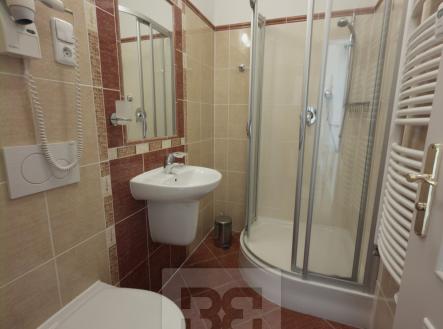 Pronájem bytu, 1+kk, 14 m²