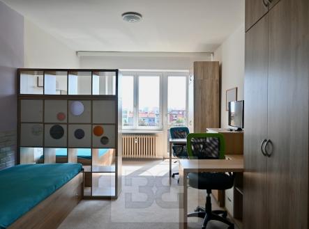 Pronájem bytu, 1+1, 42 m²