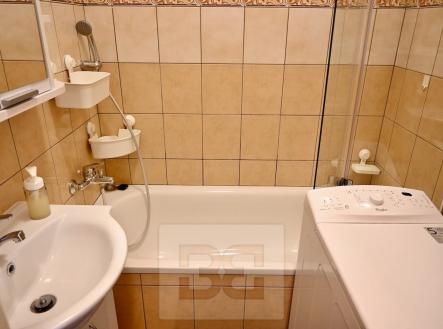 Pronájem bytu, 1+1, 42 m²