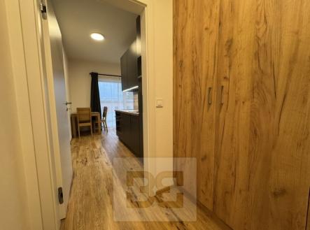 Pronájem bytu, 1+kk, 30 m²