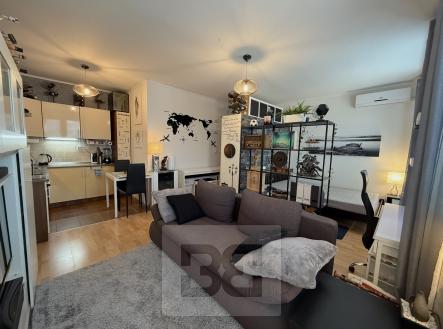 Pronájem bytu, 1+kk, 33 m²