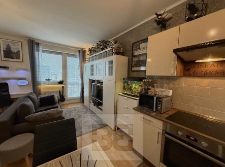 Pronájem bytu, 1+kk, 33 m²