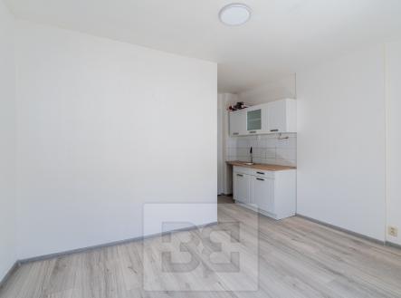Pronájem bytu, 1+kk, 19 m²