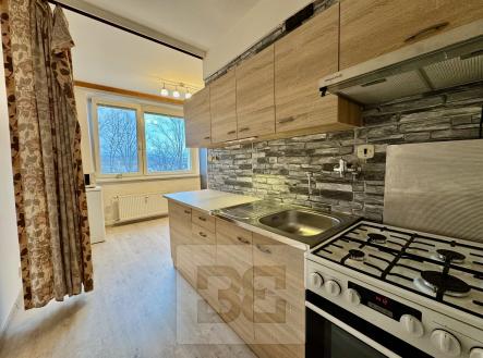 Pronájem bytu, 2+1, 55 m²