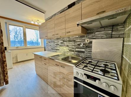 Pronájem bytu, 2+1, 55 m²