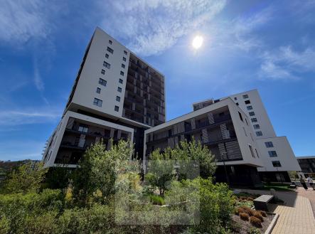 Pronájem bytu, 2+kk, 58 m²