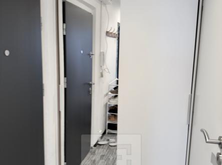 Pronájem bytu, 1+kk, 54 m²