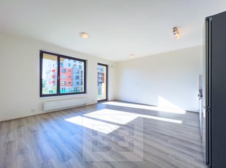 Pronájem bytu, 1+kk, 46 m²