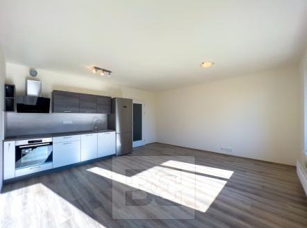 Pronájem bytu, 1+kk, 46 m²