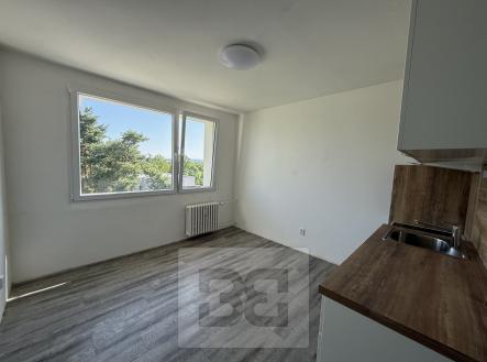 Pronájem bytu, 1+1, 36 m²