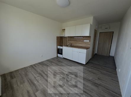 Pronájem bytu, 1+1, 36 m²