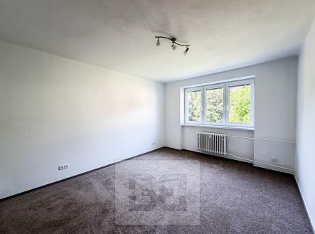 Pronájem bytu, 2+1, 55 m²