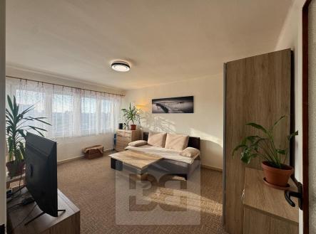 Pronájem bytu, 1+1, 30 m²