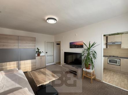 Pronájem bytu, 1+1, 30 m²