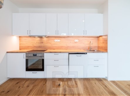 Pronájem bytu 2+kk 55 m², Praha - Radlice