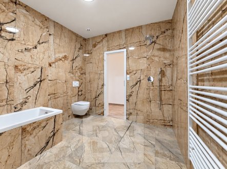Pronájem domu/vily, 130 m², Dolní Dunajovice – náhled fotky 4