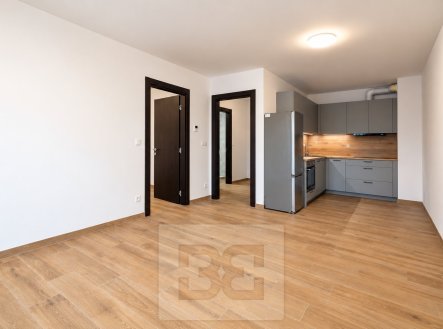Pronájem bytu, 2+kk, 55 m²
