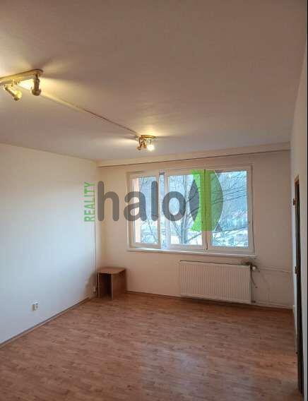 Pronájem 1+1 Český Krumlov, Plešivec