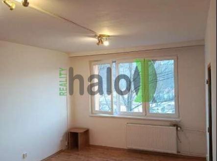 Pronájem bytu, 1+1, 45 m²