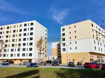 Pronájem bytu, 2+kk, 76 m²