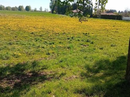 Prodej pozemku pro bydlení, 1 443 m²