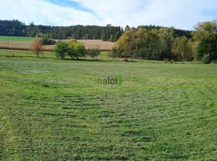 Prodej - pozemek pro bydlení, 3 000 m²