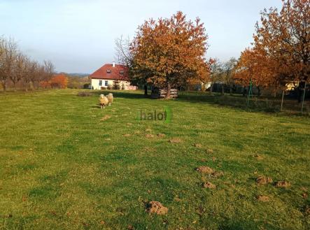 Prodej pozemku pro bydlení, 2 386 m²