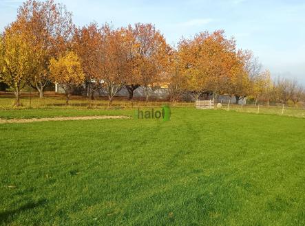 Prodej pozemku pro bydlení, 2 386 m²