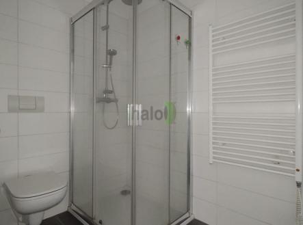 Pronájem bytu, 1+1, 46 m²