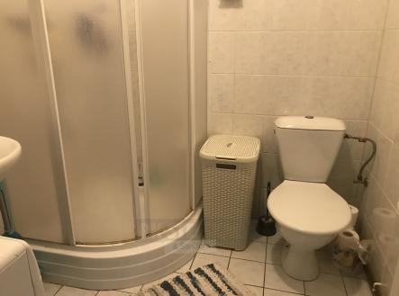 Pronájem bytu, 1+kk, 22 m²