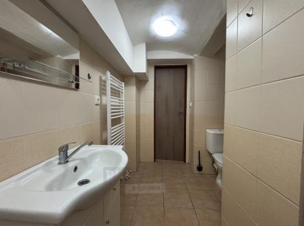 Pronájem bytu, 1+1, 41 m²