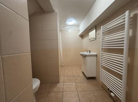 Pronájem bytu, 1+1, 41 m²